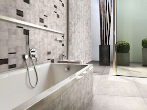Apavisa Anarchy