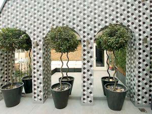 Apavisa Outdoor
